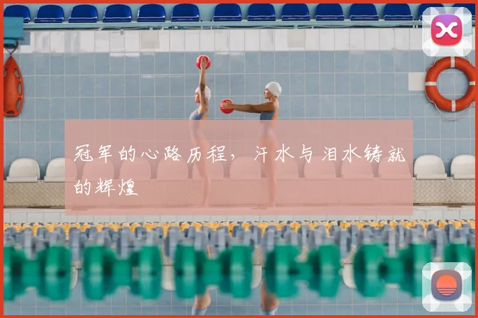 冠军的心路历程,汗水与泪水铸就的辉煌