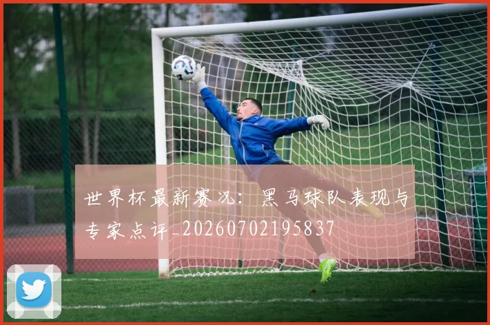 世界杯最新赛况：黑马球队表现与专家点评_20260702195837