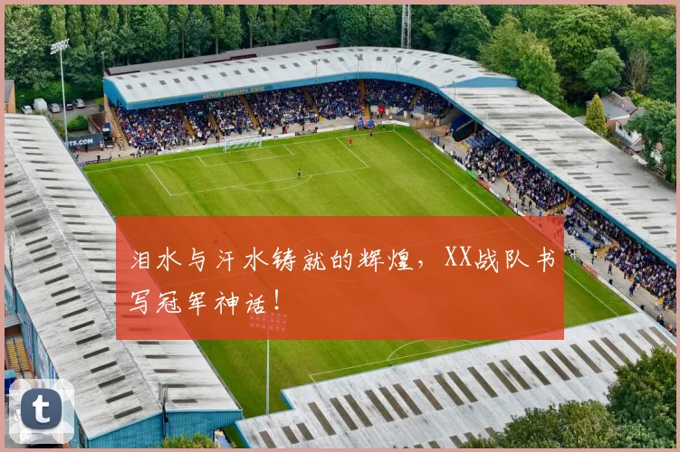 泪水与汗水铸就的辉煌，XX战队书写冠军神话！