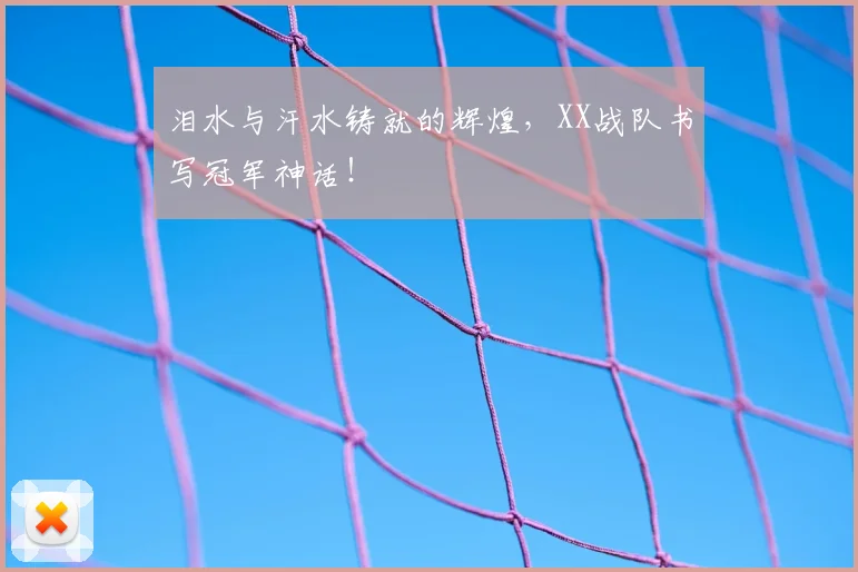 泪水与汗水铸就的辉煌,XX战队书写冠军神话!
