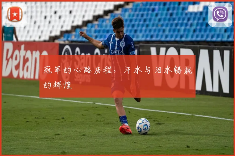 冠军的心路历程，汗水与泪水铸就的辉煌